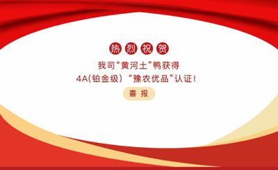 【喜報】—我司黃河土鴨獲4A(鉑金級）“豫農(nóng)優(yōu)品”認證！
